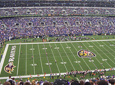 Hadrian | Powder Coated - M&T Bank Stadium | Relcross